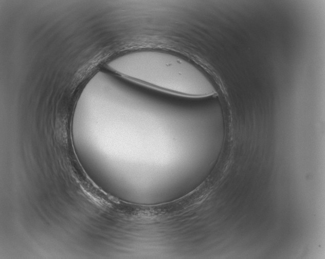 X0000077410489200610201426