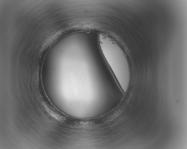 X0000077410493200610201426