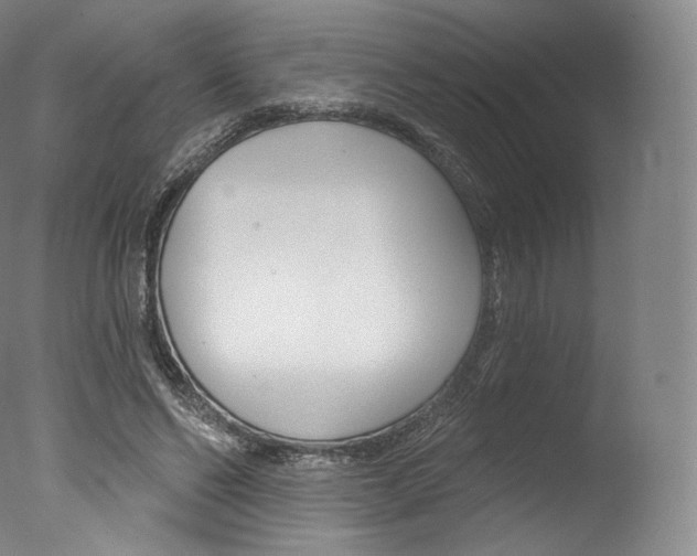 X0000077410494200610201426