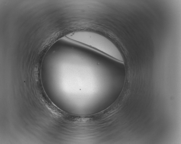X0000077410497200610201426