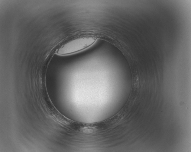 X0000077410508200610201425