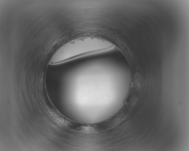 X0000077410509200610201425