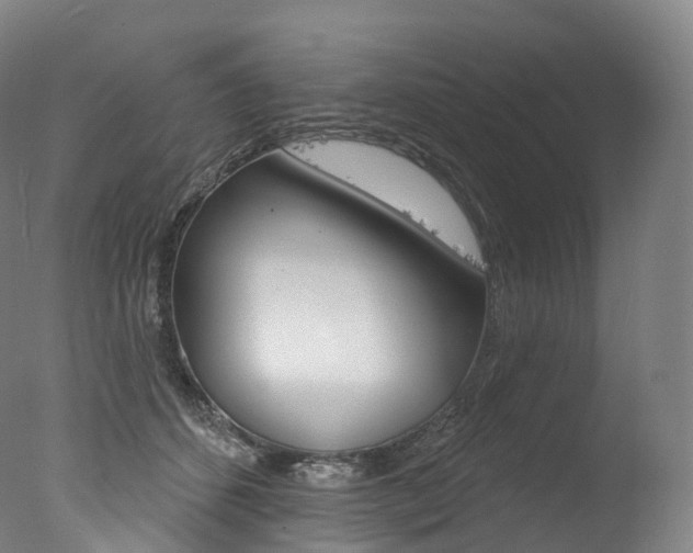 X0000077410512200610201425