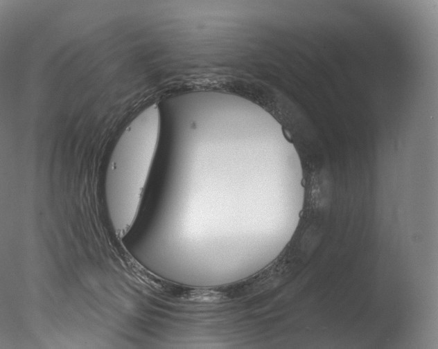 X0000077410514200610201425
