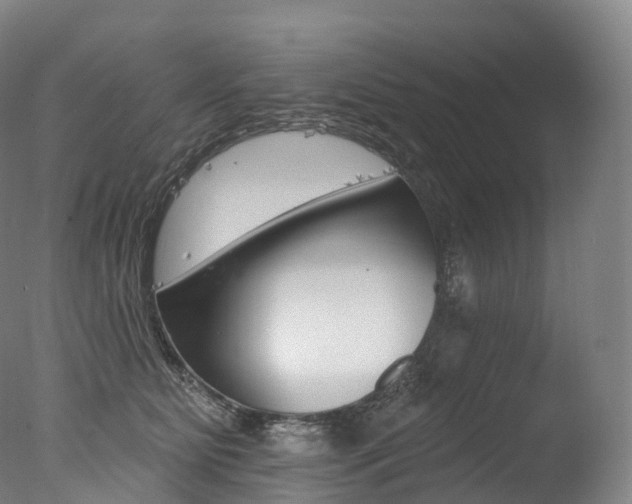 X0000077410515200610201425
