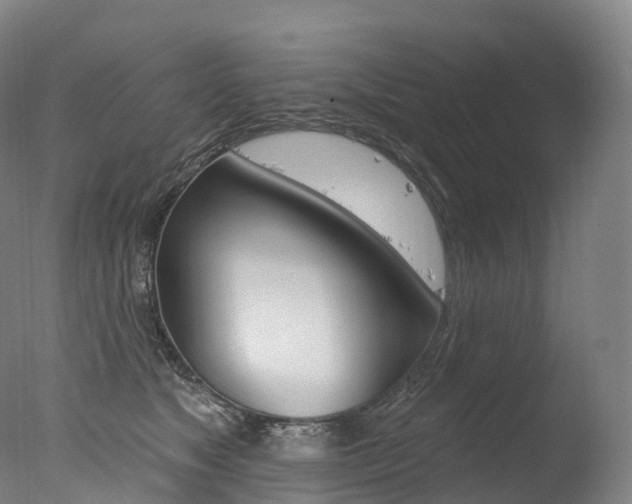 X0000077410517200610201425