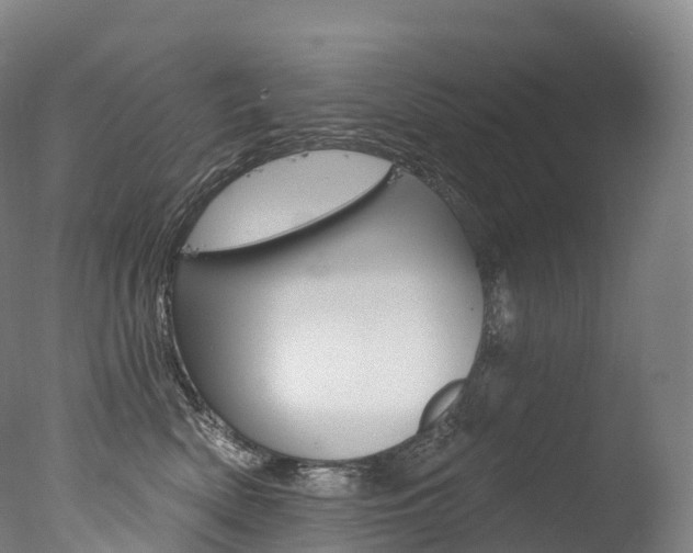 X0000077410522200610201425