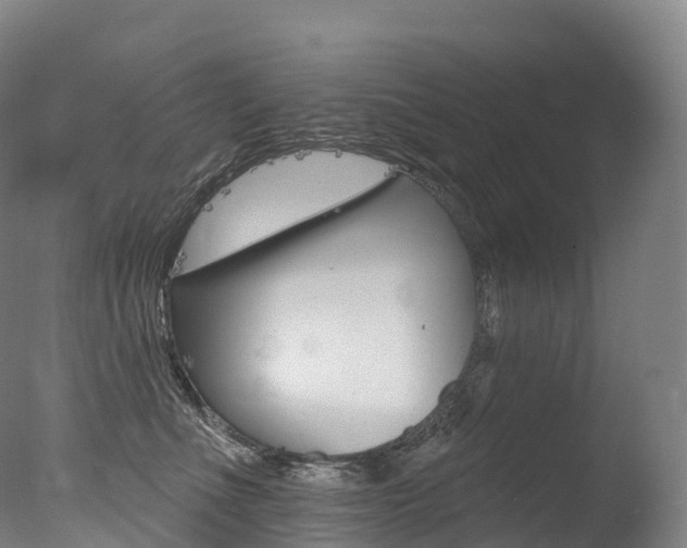 X0000077410523200610201425
