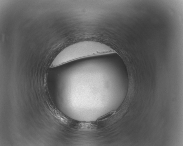 X0000077410528200610201425