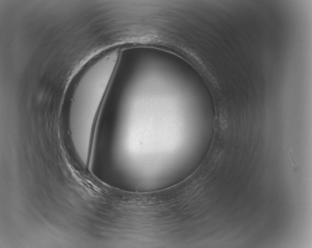 X0000077410532200610201424