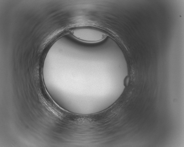 X0000077410535200610201424