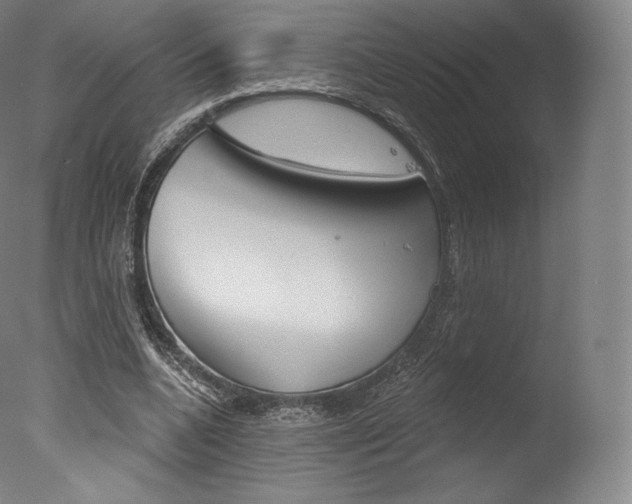 X0000077410536200610201424
