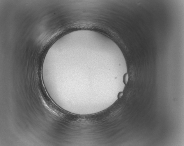 X0000077410538200610201424