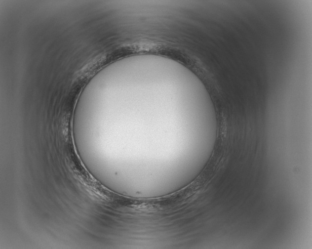 X0000077410545200610201424