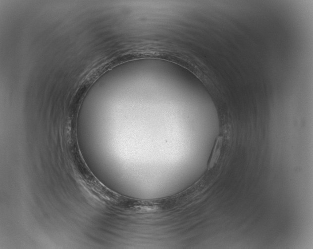 X0000077410552200610201425