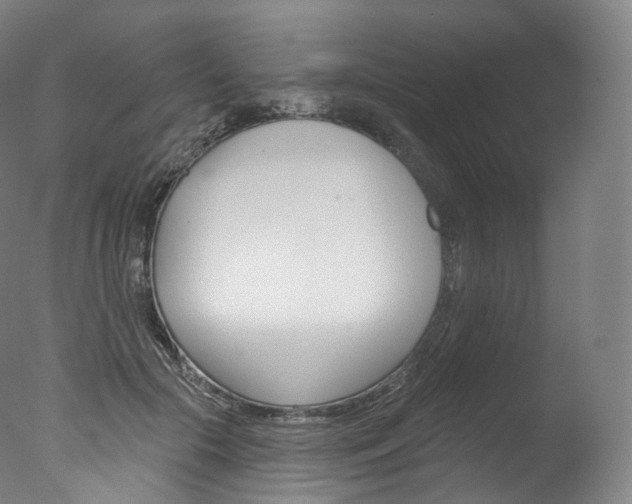 X0000077410553200610201425