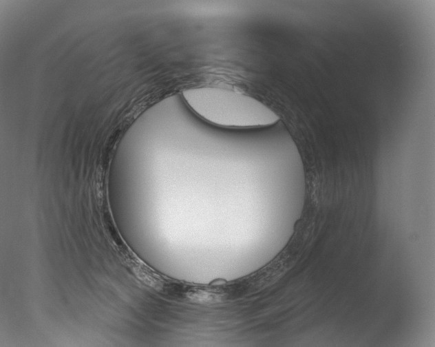 X0000077410561200610201425