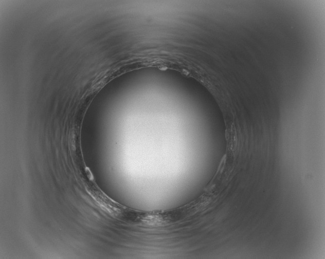 X0000077410562200610201425