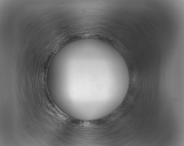 X0000077410565200610201425