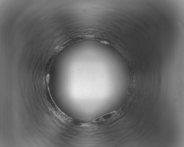 X0000077410568200610201425