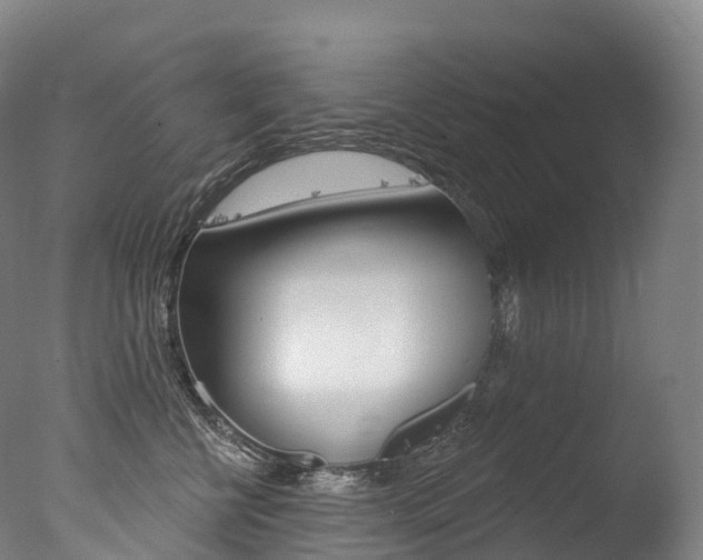 X0000077410570200610201425