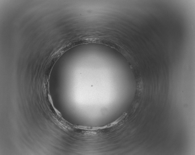 X0000077410572200610201425