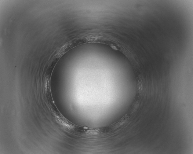 X0000077410574200610201425
