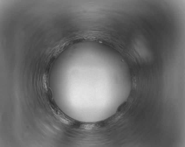 X0000077410575200610201425