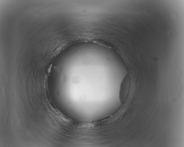 X0000077410576200610201425