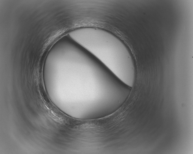 X0000077410578200610201424