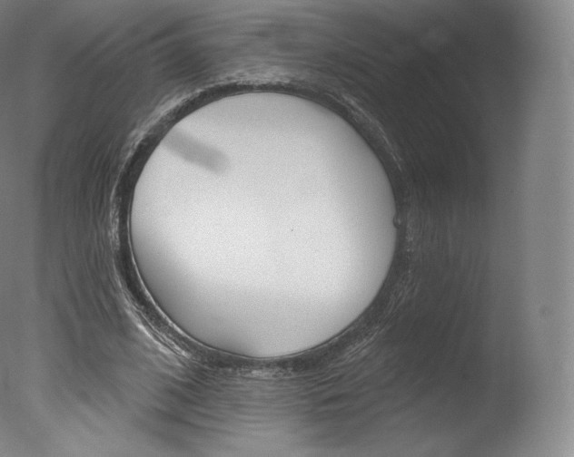 X0000077410584200610201424