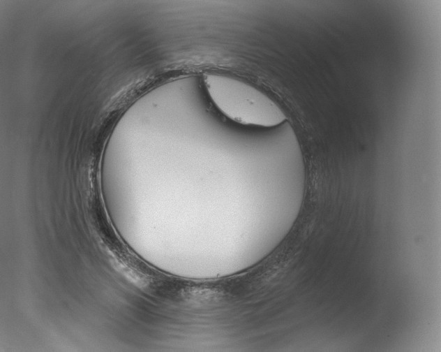 X0000077410590200610201424