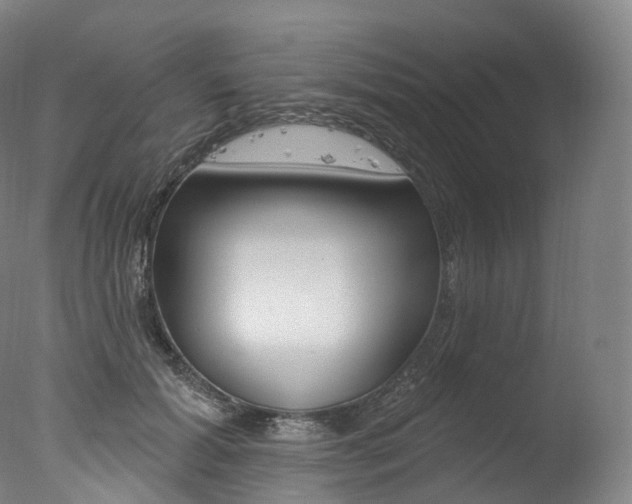 X0000077410605200610201424
