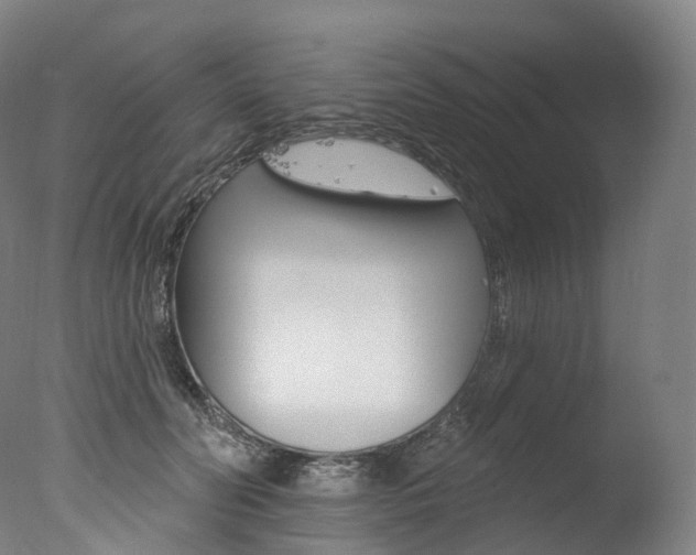 X0000077410606200610201424