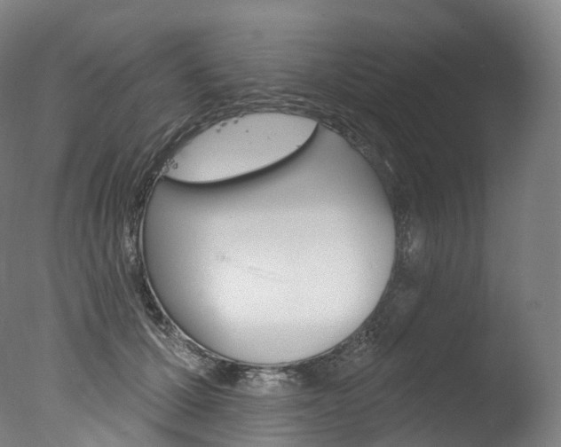X0000077410607200610201424