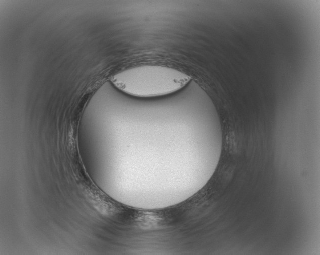 X0000077410610200610201424