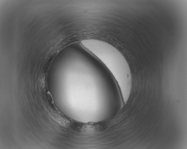 X0000077410613200610201424