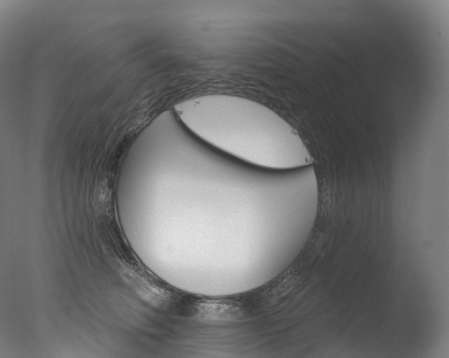 X0000077410614200610201424
