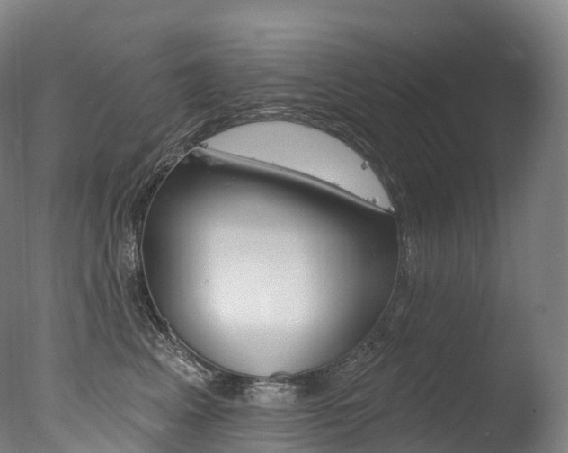 X0000077410617200610201423
