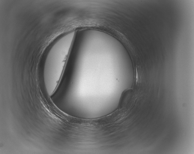 X0000077410627200610201423