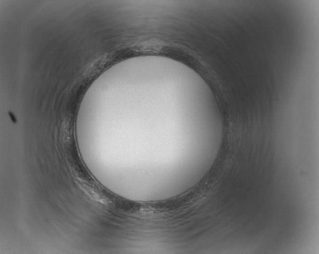 X0000077410641200610201423