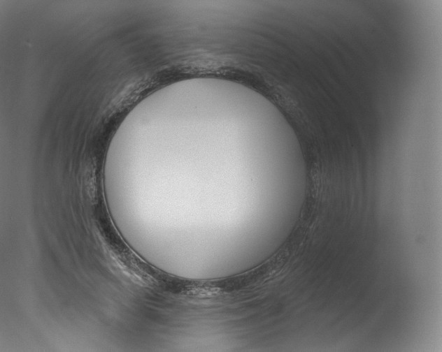X0000077410642200610201423
