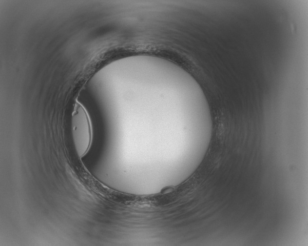 X0000077410643200610201423