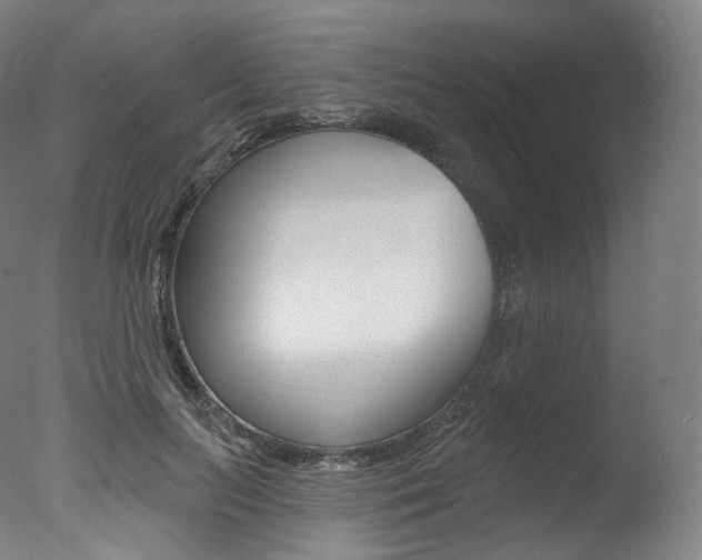 X0000077410647200610201423