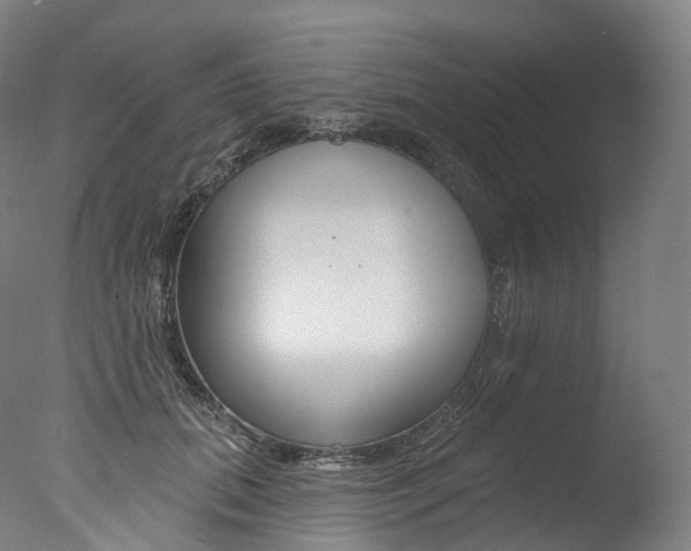 X0000077410655200610201423