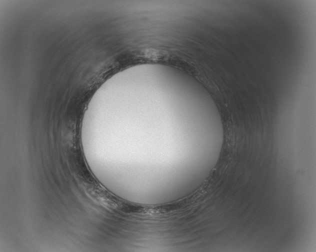 X0000077410656200610201423