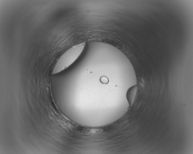 X0000077410663200610201423