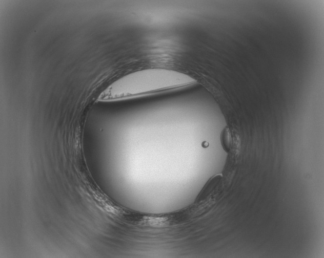 X0000077410665200610201423