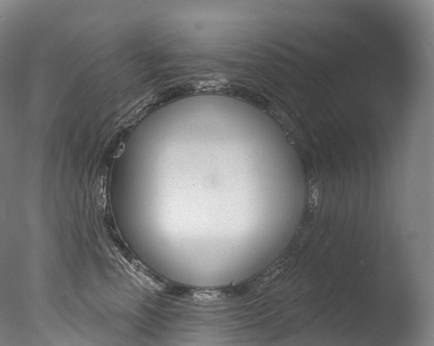 X0000077410666200610201423