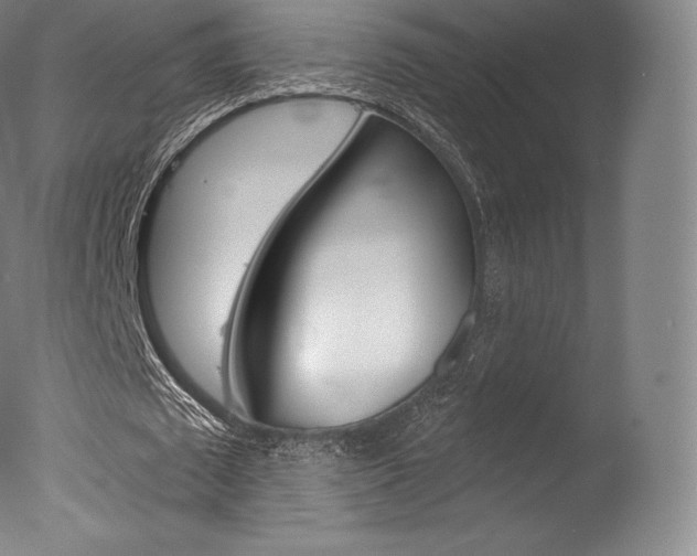 X0000077410673200610201423